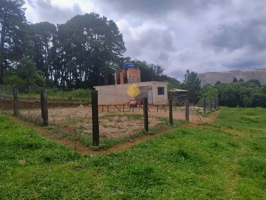 Foto 4 de Terreno / Lote à venda, 5000m2 em Alto Boqueirão, Curitiba - PR