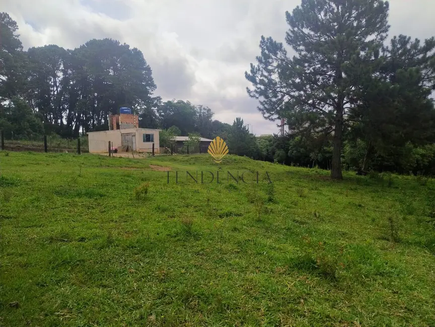 Foto 5 de Terreno / Lote à venda, 5000m2 em Alto Boqueirão, Curitiba - PR