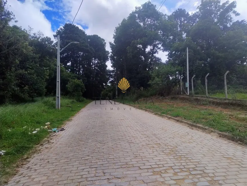 Foto 7 de Terreno / Lote à venda, 5000m2 em Alto Boqueirão, Curitiba - PR