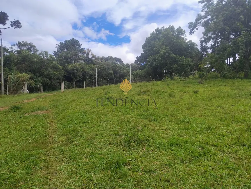 Foto 9 de Terreno / Lote à venda, 5000m2 em Alto Boqueirão, Curitiba - PR
