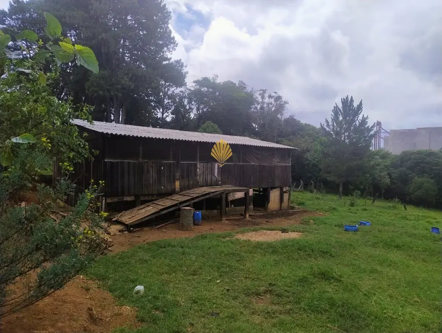 Foto 6 de Terreno / Lote à venda, 5000m2 em Alto Boqueirão, Curitiba - PR