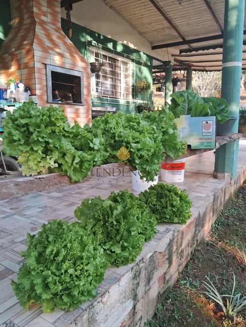 Foto 3 de Chácara com 3 quartos à venda, 30000m2 em Ribeirão Vermelho, Quitandinha - PR