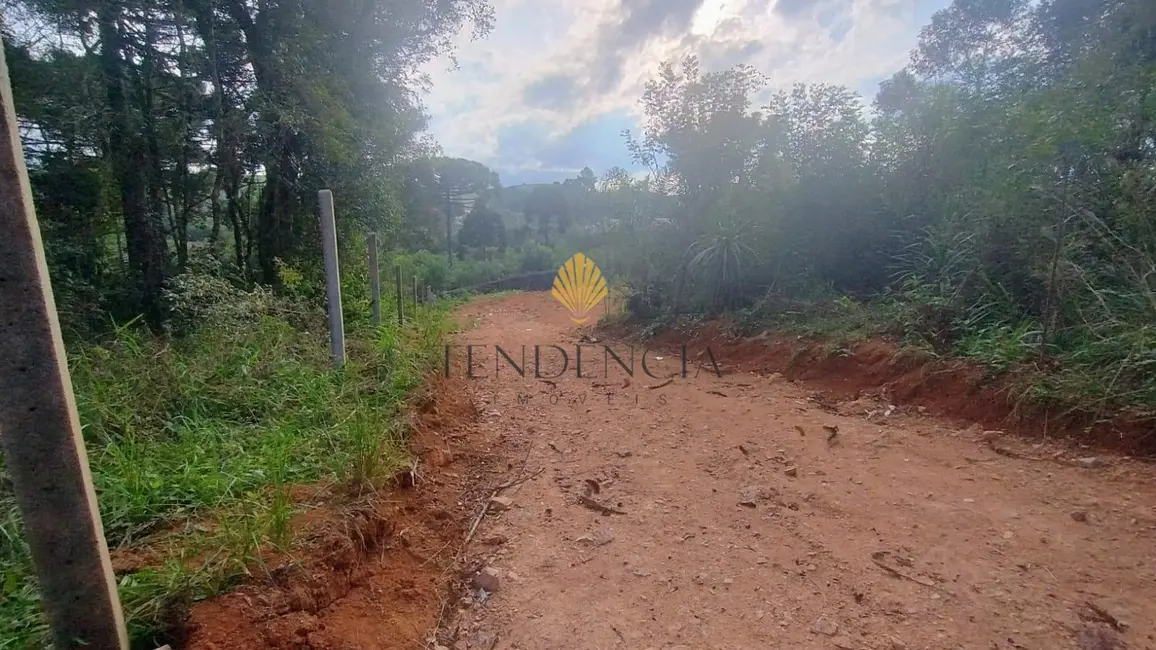Foto 6 de Terreno / Lote à venda, 800m2 em Quitandinha - PR