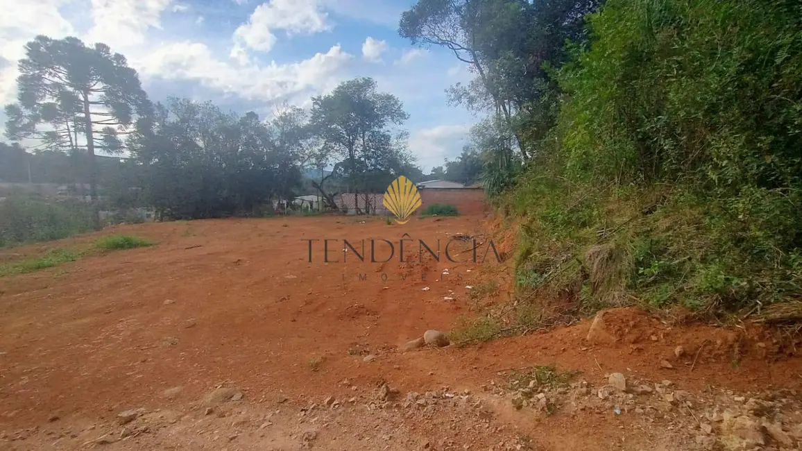 Foto 4 de Terreno / Lote à venda, 800m2 em Quitandinha - PR