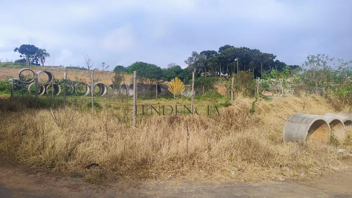 Terreno / Lote à venda, 480m2 em Iguaçu, Fazenda Rio Grande - PR - imagem 7 Foto 7 de Terreno / Lote à venda, 480m2 em Iguaçu, Fazenda Rio Grande - PR