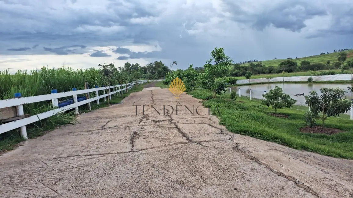 Foto 4 de Chácara com 3 quartos à venda, 217000m2 em Ivate - PR