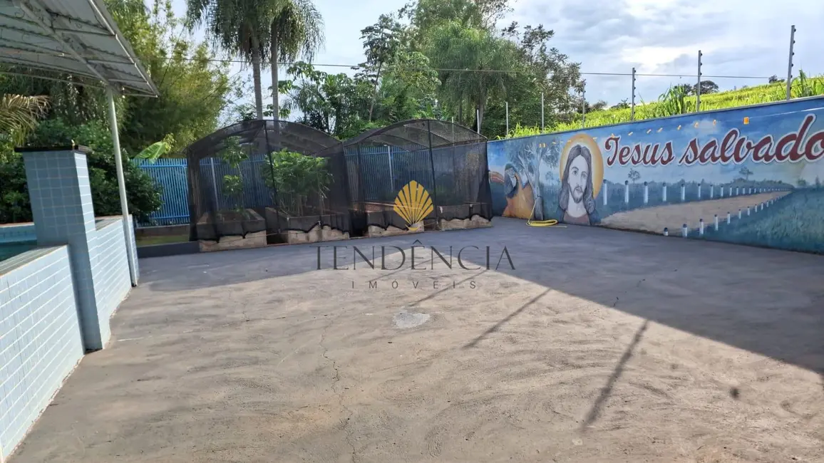 Foto 7 de Chácara com 3 quartos à venda, 217000m2 em Ivate - PR