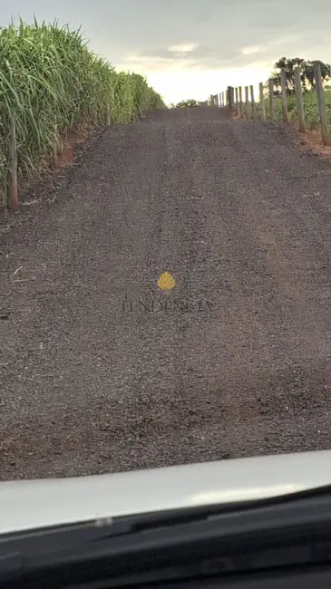 Foto 8 de Chácara com 3 quartos à venda, 217000m2 em Ivate - PR