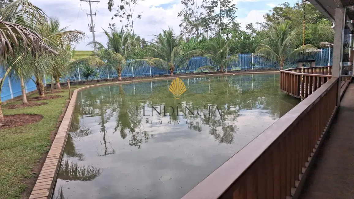 Foto 6 de Chácara com 3 quartos à venda, 217000m2 em Ivate - PR