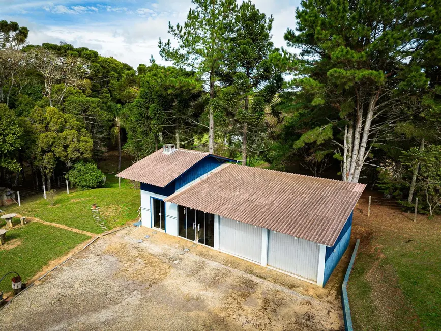 Chácara à venda, 36300m2 em Roça Velha, Sao Jose Dos Pinhais - PR - imagem 4 Foto 4 de Chácara à venda, 36300m2 em Roça Velha, Sao Jose Dos Pinhais - PR