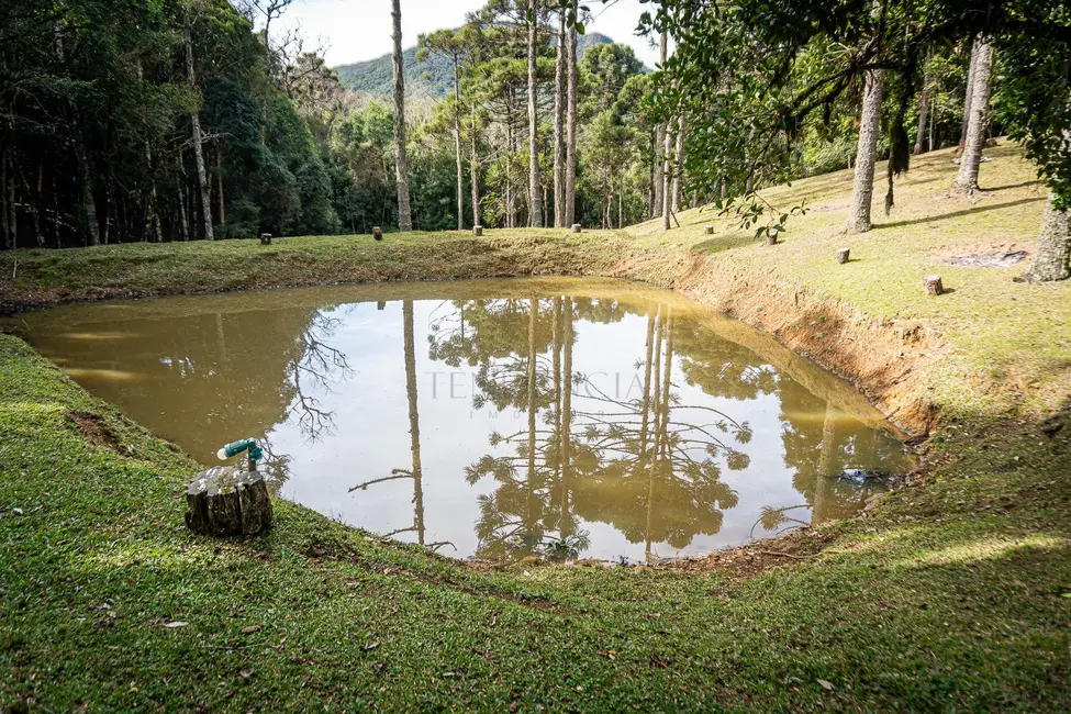 Foto 1 de Chácara à venda, 72600m2 em Roça Velha,  - PR