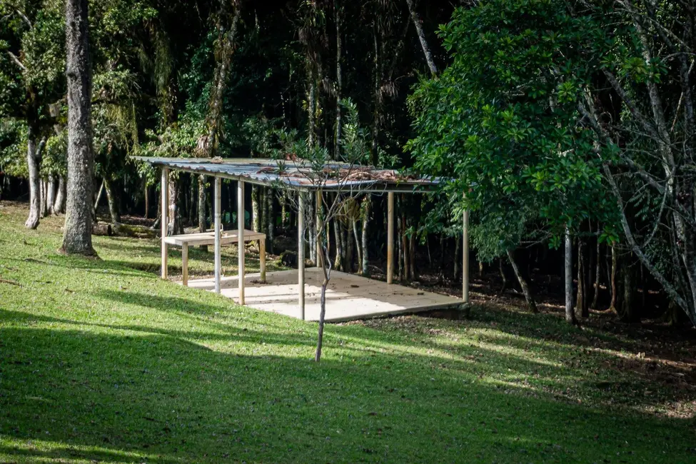 Chácara à venda, 72600m2 em Roça Velha, Sao Jose Dos Pinhais - PR - imagem 6 Foto 6 de Chácara à venda, 72600m2 em Roça Velha, Sao Jose Dos Pinhais - PR