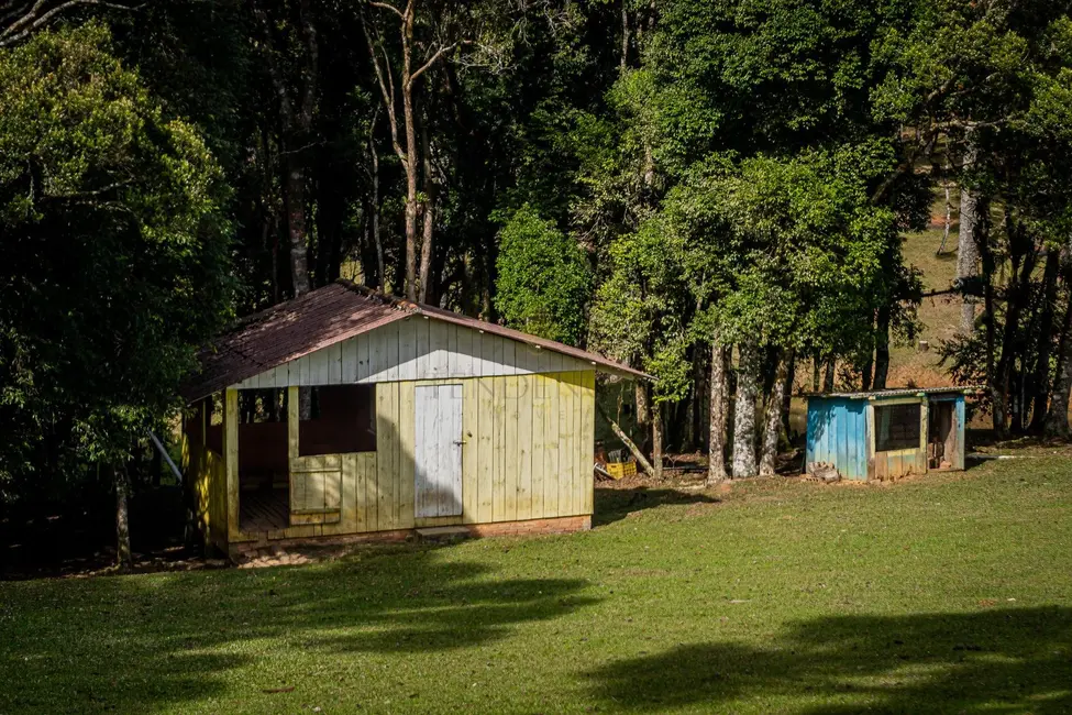 Chácara à venda, 72600m2 em Roça Velha, Sao Jose Dos Pinhais - PR - imagem 5 Foto 5 de Chácara à venda, 72600m2 em Roça Velha, Sao Jose Dos Pinhais - PR