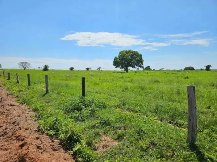 Foto 2 de Fazenda / Haras à venda, 11190000m2 em Mundo Novo - GO