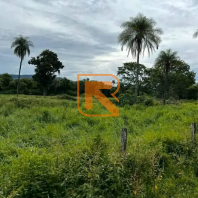 Fazenda / Haras à venda, 1030000m2 em Formosa - GO - imagem 6 Foto 6 de Fazenda / Haras à venda, 1030000m2 em Formosa - GO