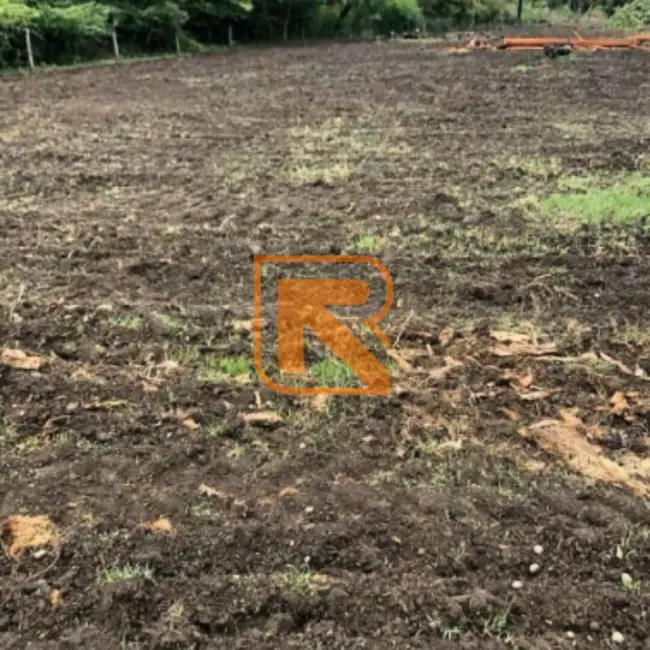 Fazenda / Haras à venda, 1030000m2 em Formosa - GO - imagem 5 Foto 5 de Fazenda / Haras à venda, 1030000m2 em Formosa - GO