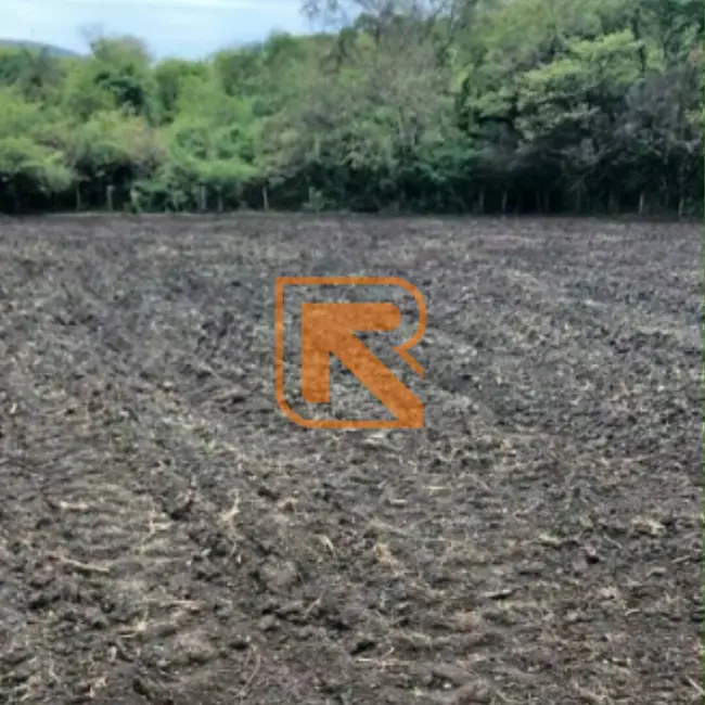 Fazenda / Haras à venda, 1030000m2 em Formosa - GO - imagem 9 Foto 9 de Fazenda / Haras à venda, 1030000m2 em Formosa - GO