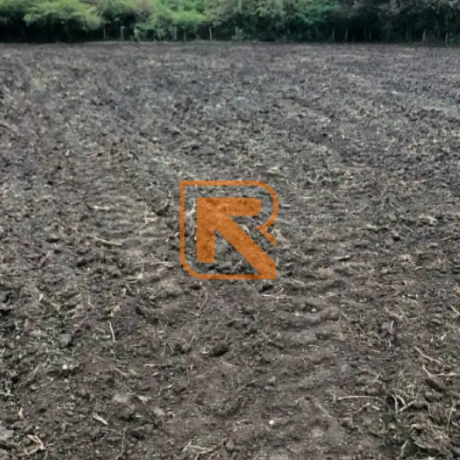 Fazenda / Haras à venda, 1030000m2 em Formosa - GO - imagem 4 Foto 4 de Fazenda / Haras à venda, 1030000m2 em Formosa - GO