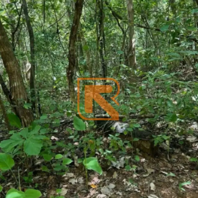 Fazenda / Haras à venda, 1030000m2 em Formosa - GO - imagem 7 Foto 7 de Fazenda / Haras à venda, 1030000m2 em Formosa - GO