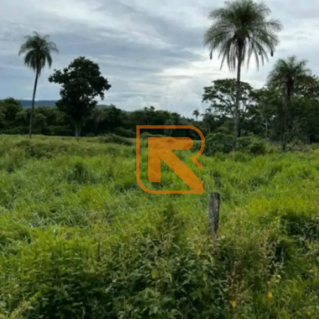 Fazenda / Haras à venda, 1030000m2 em Formosa - GO - imagem 8 Foto 8 de Fazenda / Haras à venda, 1030000m2 em Formosa - GO