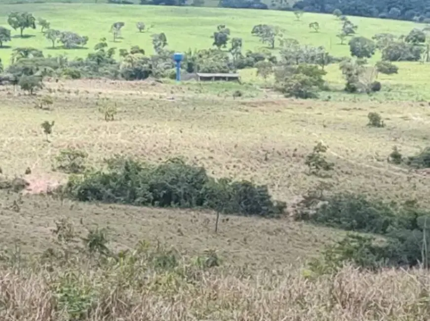 Foto 8 de Chácara à venda, 482000m2 em Centro, Luziania - GO