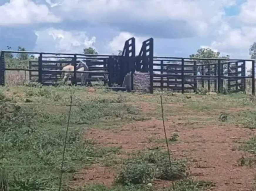 Foto 6 de Chácara à venda, 482000m2 em Centro, Luziania - GO