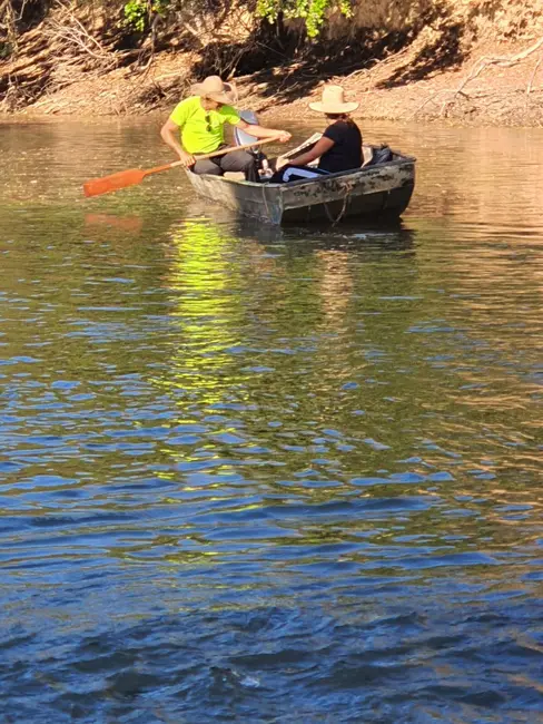 Sítio / Rancho com 3 quartos à venda, 330000m2 em Centro, Buritis - MG - imagem 5 Foto 5 de Sítio / Rancho com 3 quartos à venda, 330000m2 em Centro, Buritis - MG