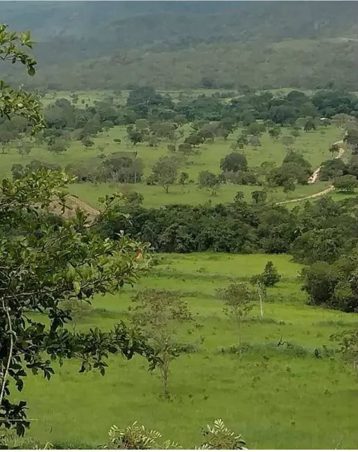 Foto 2 de Chácara à venda, 94m2 em Centro, Teresina De Goias - GO