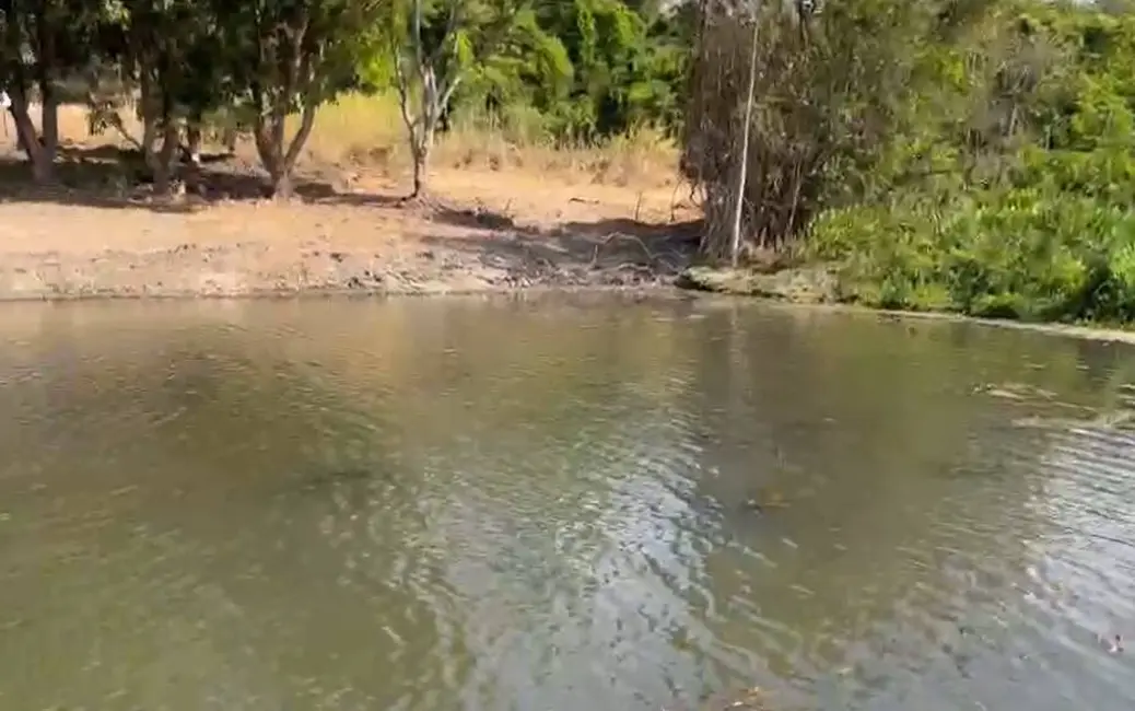 Foto 6 de Chácara com 5 quartos à venda, 11m2 em Aragoiania - GO
