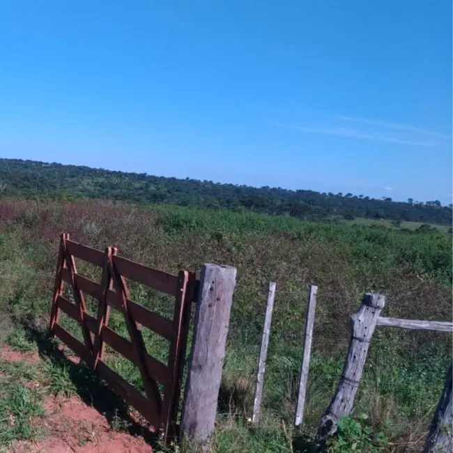 Foto 7 de Fazenda / Haras com 3 quartos à venda, 581m2 em Guiratinga - MT