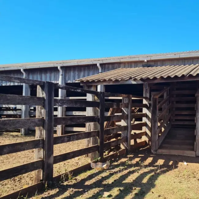 Foto 6 de Fazenda / Haras com 3 quartos à venda, 581m2 em Guiratinga - MT