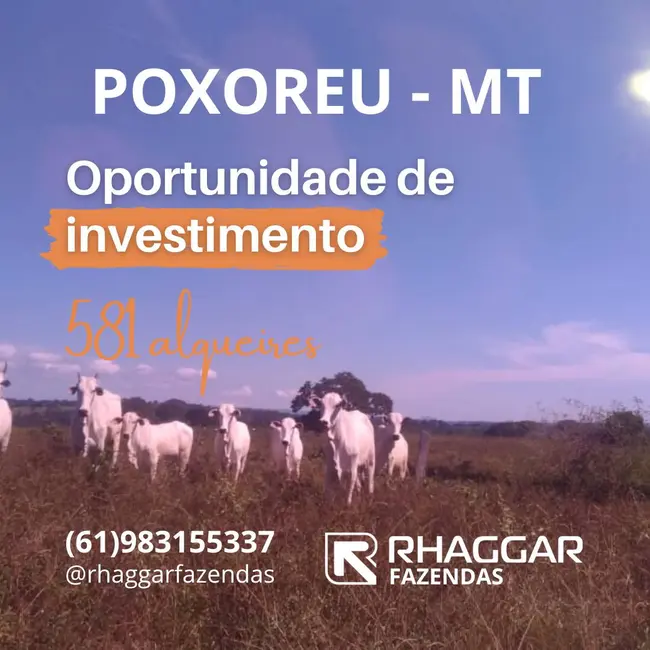 Foto 1 de Fazenda / Haras com 3 quartos à venda, 581m2 em Guiratinga - MT