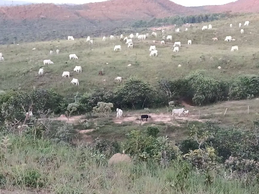 Foto 7 de Fazenda / Haras com 6 quartos à venda, 63m2 em Abadiania - GO