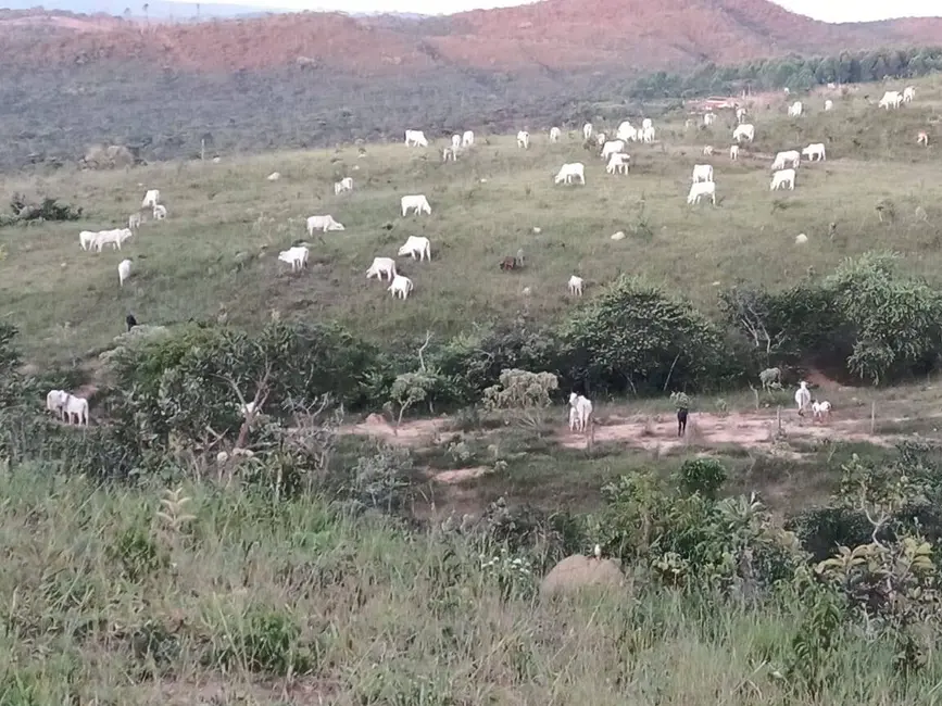 Foto 6 de Fazenda / Haras com 6 quartos à venda, 63m2 em Abadiania - GO