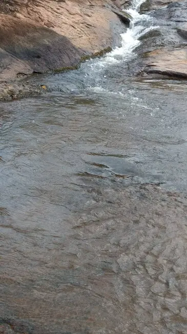 Foto 3 de Fazenda / Haras à venda, 18m2 em Orizona - GO