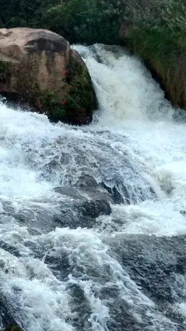 Foto 7 de Fazenda / Haras à venda, 18m2 em Orizona - GO