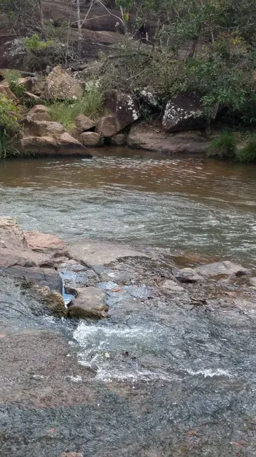 Foto 5 de Fazenda / Haras à venda, 18m2 em Orizona - GO