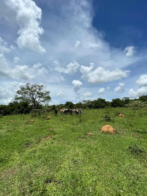 Foto 8 de Fazenda / Haras à venda, 24m2 em Centro, Luziania - GO