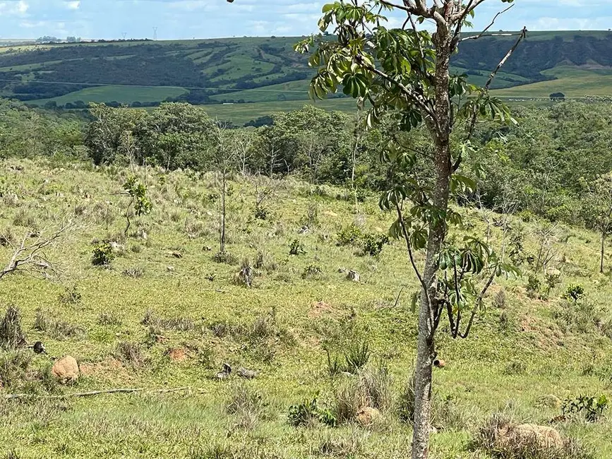Foto 9 de Fazenda / Haras à venda, 24m2 em Centro, Luziania - GO