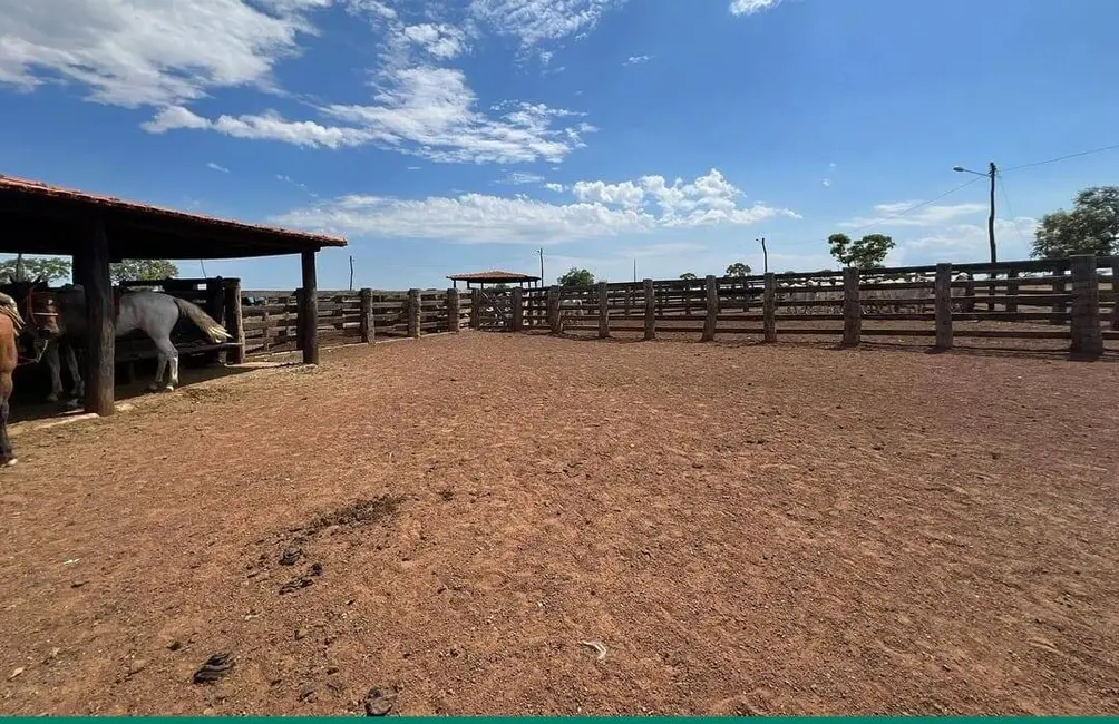 Foto 3 de Fazenda / Haras à venda, 1000m2 em Centro, Formosa - GO