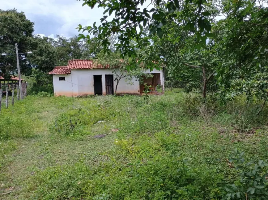 Foto 9 de Fazenda / Haras à venda, 500m2 em Parana - TO