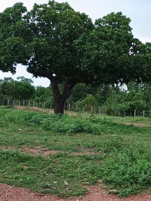 Foto 2 de Fazenda / Haras à venda, 500m2 em Parana - TO