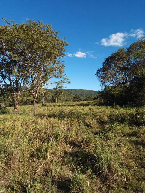 Foto 2 de Fazenda / Haras à venda, 237m2 em Faina - GO