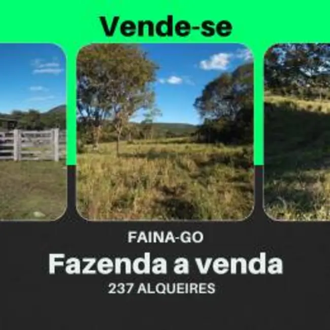 Foto 1 de Fazenda / Haras à venda, 237m2 em Faina - GO