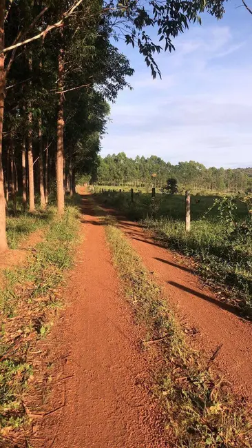 Foto 6 de Fazenda / Haras à venda, 142m2 em Cocalzinho De Goias - GO