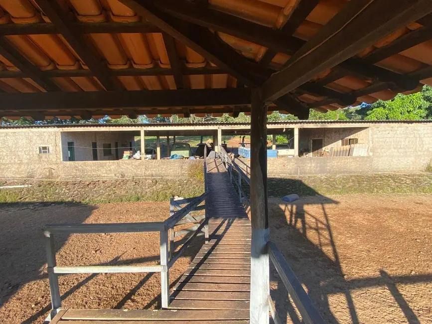 Foto 2 de Fazenda / Haras à venda, 142m2 em Cocalzinho De Goias - GO