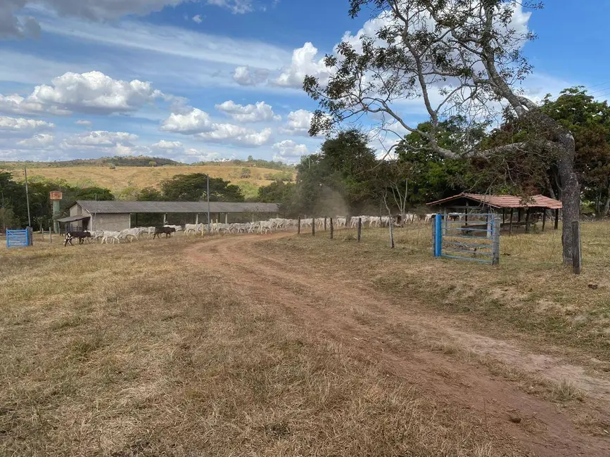 Foto 3 de Fazenda / Haras à venda, 142m2 em Cocalzinho De Goias - GO
