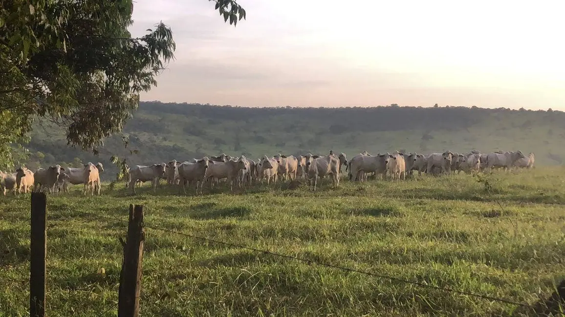 Foto 5 de Fazenda / Haras à venda, 142m2 em Cocalzinho De Goias - GO