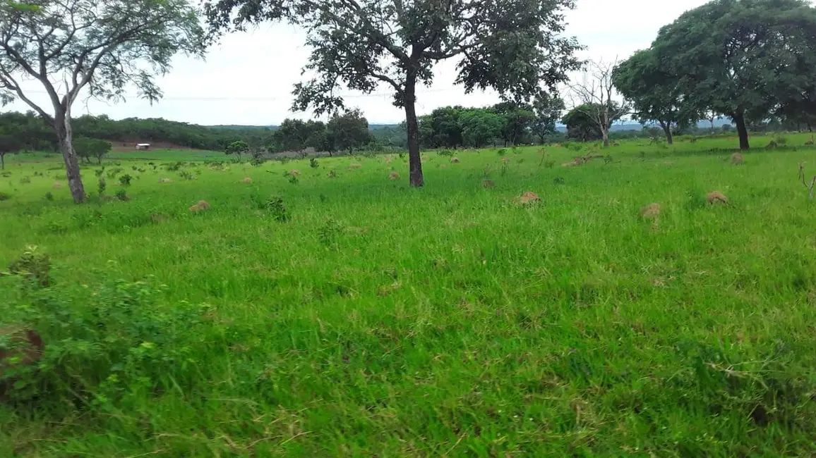 Fazenda / Haras à venda, 558m2 em Alto Paraguai - MT - imagem 6 Foto 6 de Fazenda / Haras à venda, 558m2 em Alto Paraguai - MT