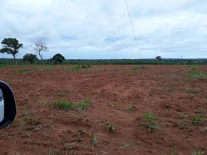 Fazenda / Haras à venda, 558m2 em Alto Paraguai - MT - imagem 8 Foto 8 de Fazenda / Haras à venda, 558m2 em Alto Paraguai - MT